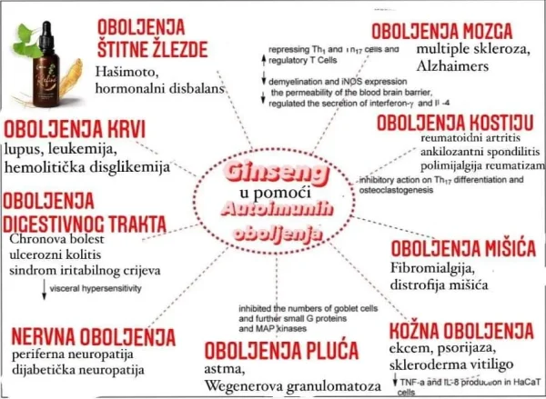 NHG Refine biljne kapi za fokus i koncentraciju