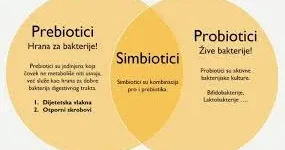 Prirodni probiotici za zdravlje digestivnog sistema i bolju probavu